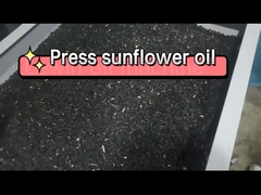Pressing sunflower seed oil by Lewin oil press machine