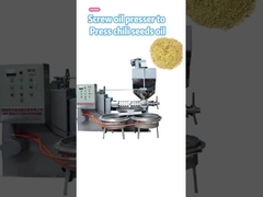 Chilli seed oil press machine