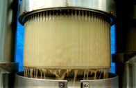 Olive Hydraulic Oil Press Machine Automatic Control 12 Months Warranty