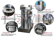 Simple Operation Cold Oil Extractor Machine Coconut Oil Processing With Solid Piston