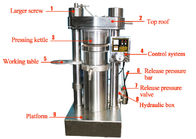 Cold Processing Sesame Oil Machinery / 6YY - 230A Electric Oil Press Machine