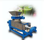 Industrial Ginger Juice Extractor Vegetable Crusher 3 KW Power 1800 * 600 * 700 Mm