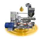 Hemp Oil Extract Screw Oil Press Machine Oil Process Equipment Alloy Material