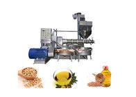 Full Automatic Large Capacity Nut Oil Press Machines Cold Press 380v