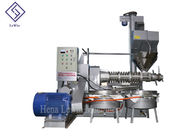 Multifunction Screw Moringa Oil Press Machine High Working Efficiency