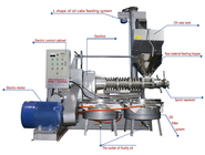 Automatic Home Black Seed Screw Oil Press Machine 2650 * 1900 * 2700mm