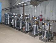 Cold Hydraulic 60Mpa Oil Press Machine 220V For Rice Bran Oil