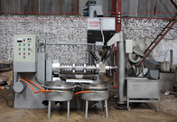 Sunflower 15KW Oil Press Cold Machines 300kg / H Automatic With Filter System