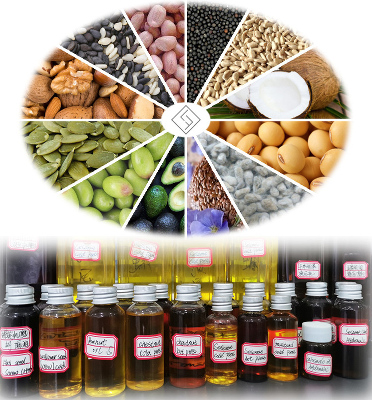 380V Cooking Oil Press Machine Hot-sale Screw Oil Presser Peanut oil making machine Seeds oil extraction equipment