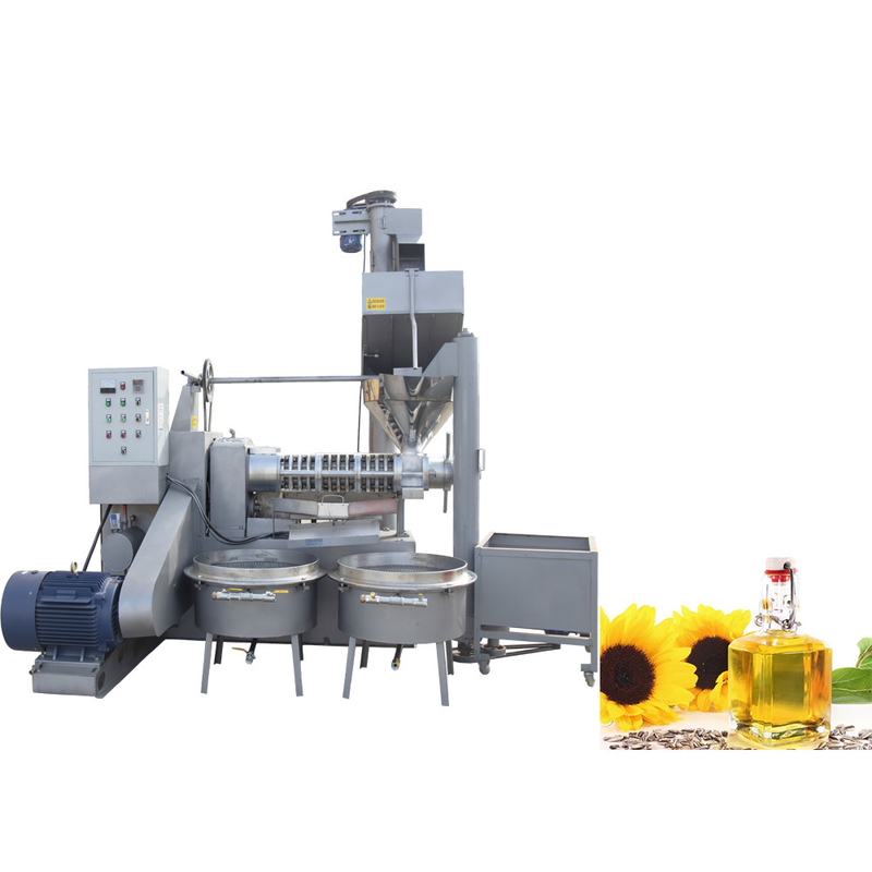 Mustard Seed Sesame Oil Press Machine 6YL-160 Screw With 300-600 Kg/h Capacity