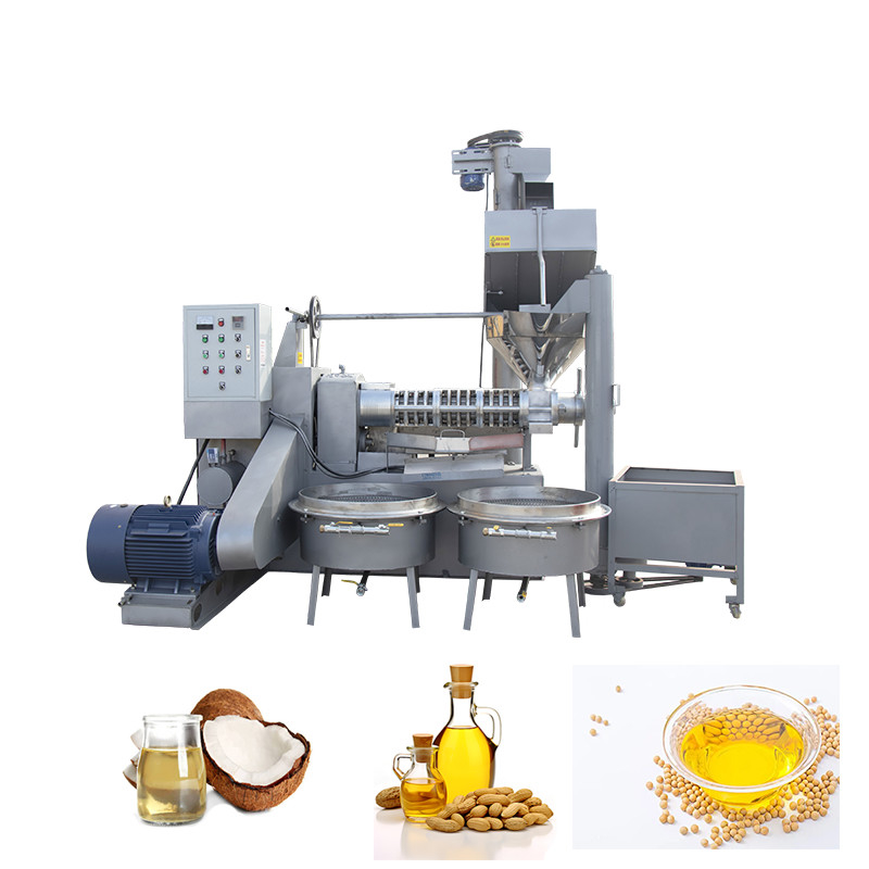 High Oil Rate Screw Moringa Seed Oil Extraction Machine With Oil Cake Feeder