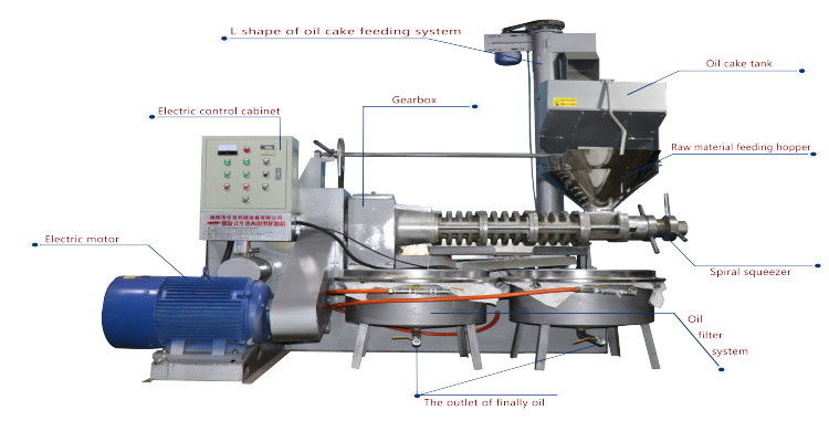 Cold Press Peanut Screw Oil Press Machine Oil Presser With Oil Filter System