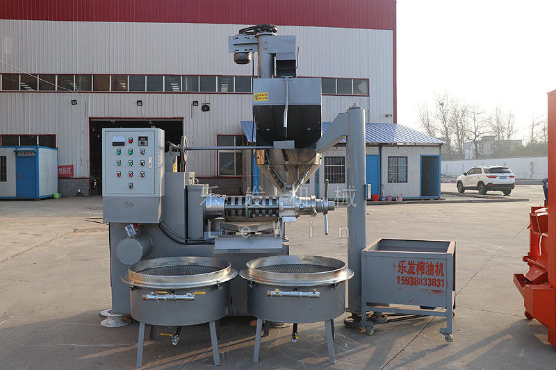 6yl 100 Sunflower Seeds Coconut Oil press Machine Cold Pressed With Oil Filter