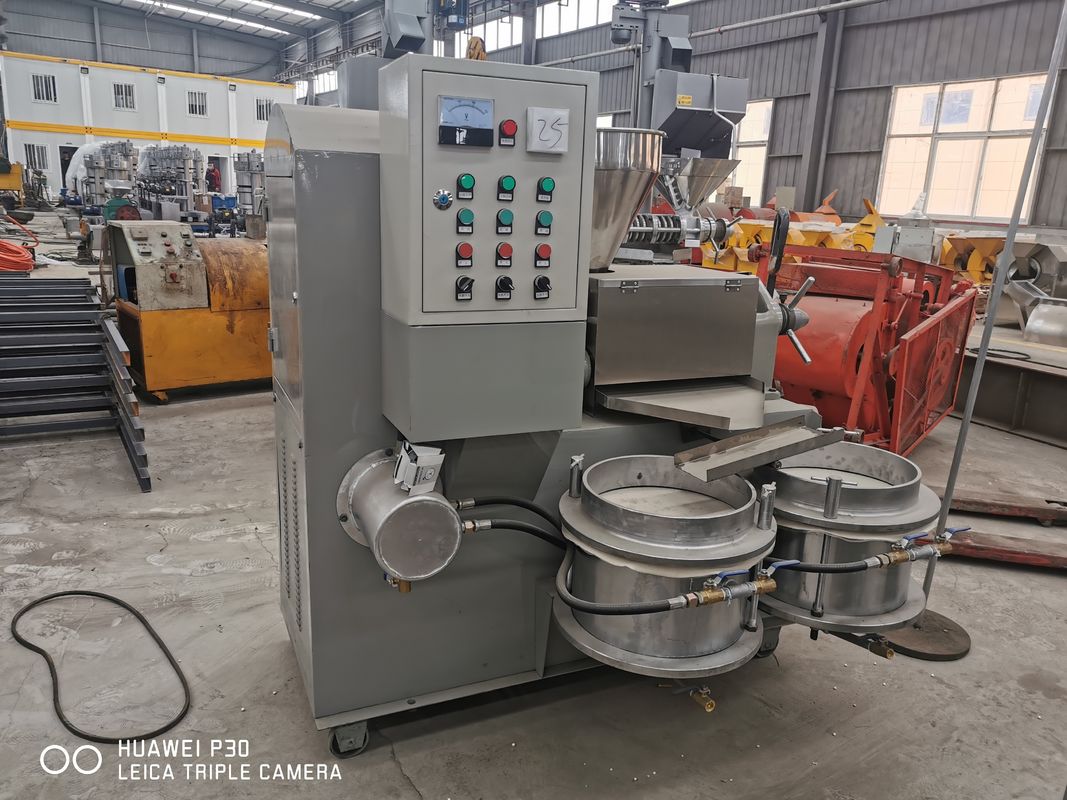 Cold And Hot Press Oil Equipment Hemp Sunflower Seed Oil Extracting Machine Olive Oil