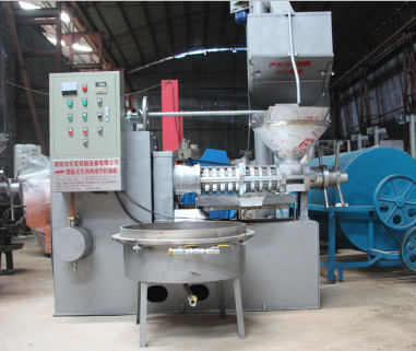 Peanut Mustard Oil Press Making Machine 400 kg/h Vegetable Oil 380v Extractor