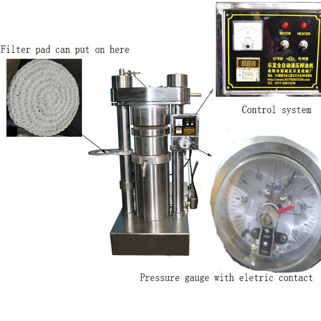 1.1 KW Avocado Oil Press Machine 60 Mpa For Small Business Shea Butter
